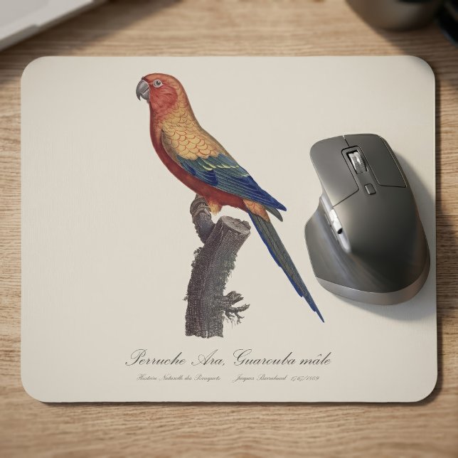 Sun Parakeet Male, Aratinga Solstitialis Mouse Pad (Sun Parakeet Male, Aratinga Solstitialis. Mouse Pad)