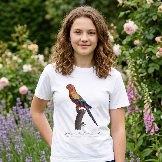 Sun Parakeet Male, Aratinga Solstitialis T-Shirt (Sun Parakeet Male, Aratinga Solstitialis. Girl Basic White T-Shirt )
