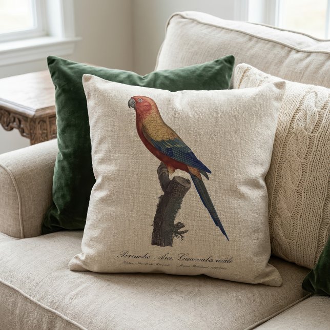 Sun Parakeet Male, Aratinga Solstitialis Throw Pillow (Sun Parakeet Male, Aratinga Solstitialis. Throw Pillow)