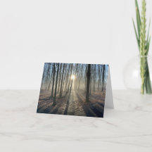 Sun Peeking Through Trees Landscape Greeting Card