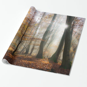 Sun Rays Mystic Misty Forest, Gift Wrapping Paper