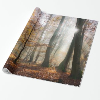 Sun Rays Mystic Misty Forest  Gift Wrapping Paper by Kathom_Photo at Zazzle
