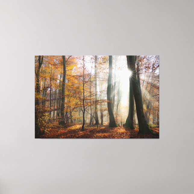 Sun Rays Mystic Misty Forest Wrapped Canvas Print (Front)