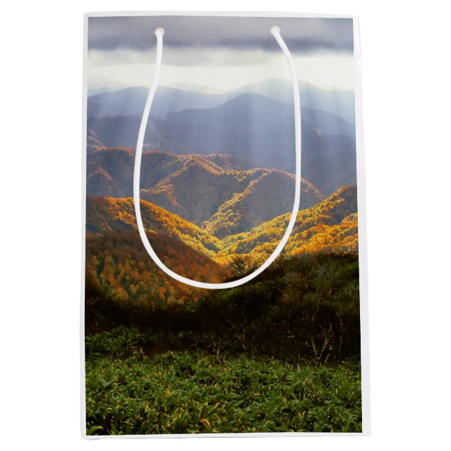 Sun Rays Over Shirakami-Sanchi Mountains Medium Gift Bag (Front)