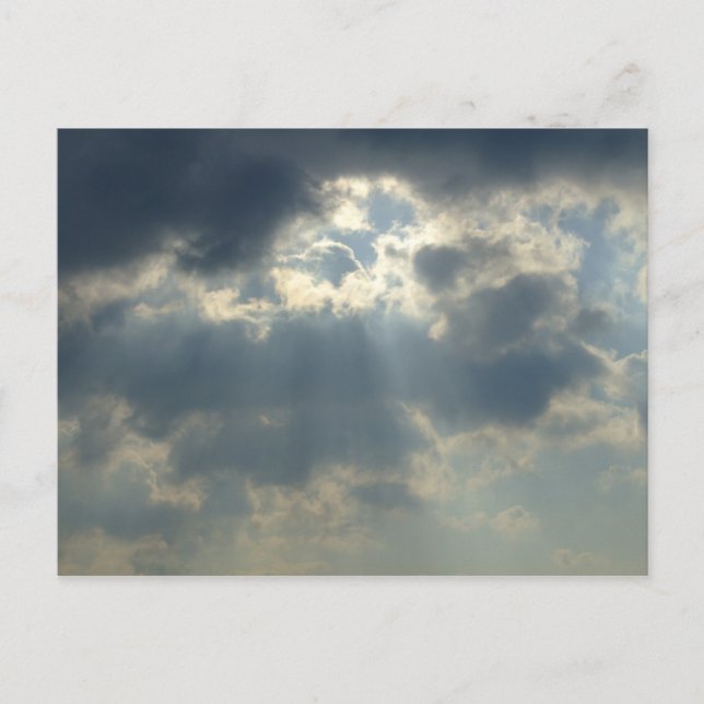 Sun Rays Postcard (Front)