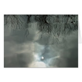 Sun reflects off water (Front Horizontal)