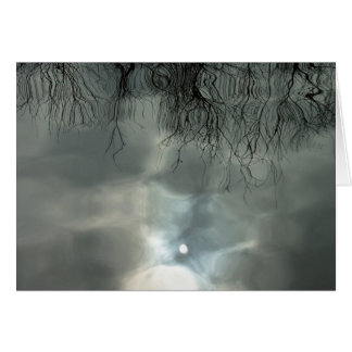 Sun reflects off water