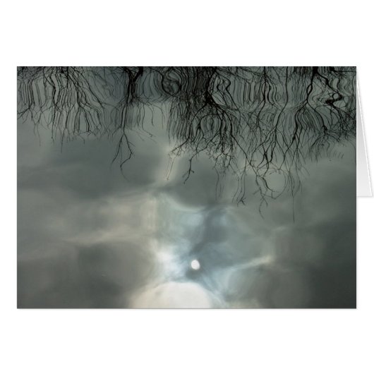 Sun reflects off water cards (Front Horizontal)