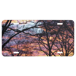 Sun Rise License Plate