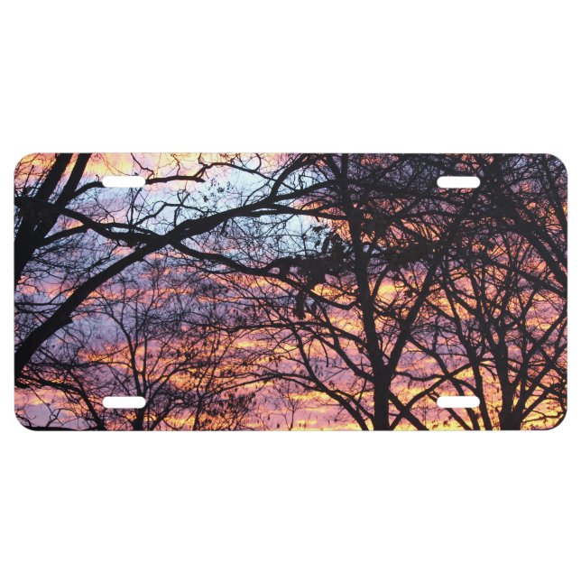 Sun Rise License Plate (Front)