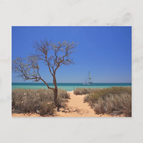 Sun Sea Sand _ Monkey Mia Western Australia Postcard
