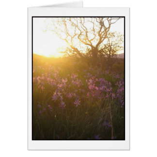 Sun setting on Mount Tolmie and Camas Cards