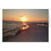 Sun Setting On Siesta (Front Horizontal)