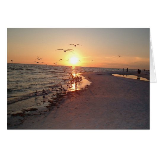 Sun Setting On Siesta Cards (Front Horizontal)