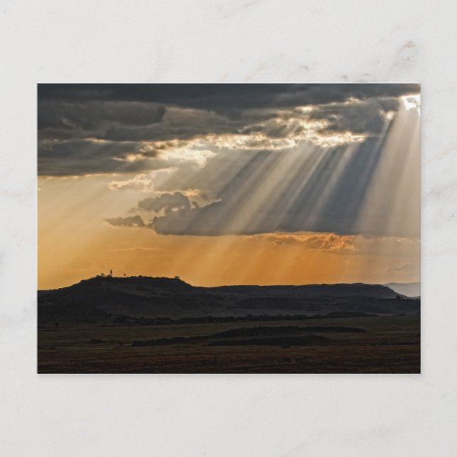 Sun setting on the Masai Mara. Postcard (Front)