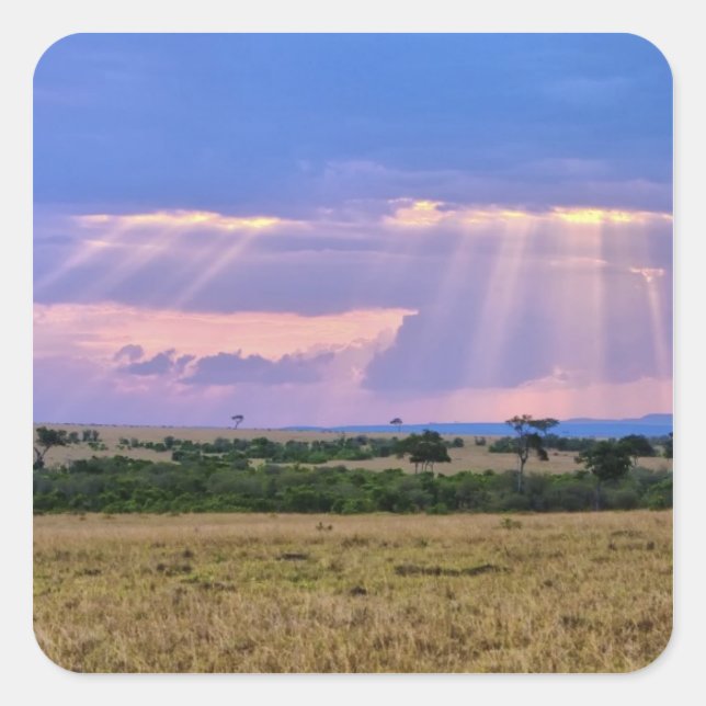 Sun setting on the Masai Mara. Square Sticker (Front)