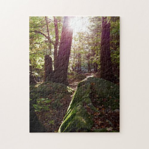 Sun Shines Through the Trees Jigsaw Puzzle