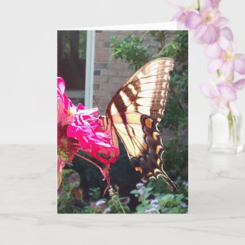 Sun Shining Through Tiger Swallowtail Blank Card