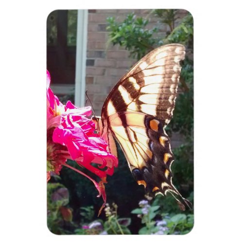 Sun Shining Through Tiger Swallowtail Magnet