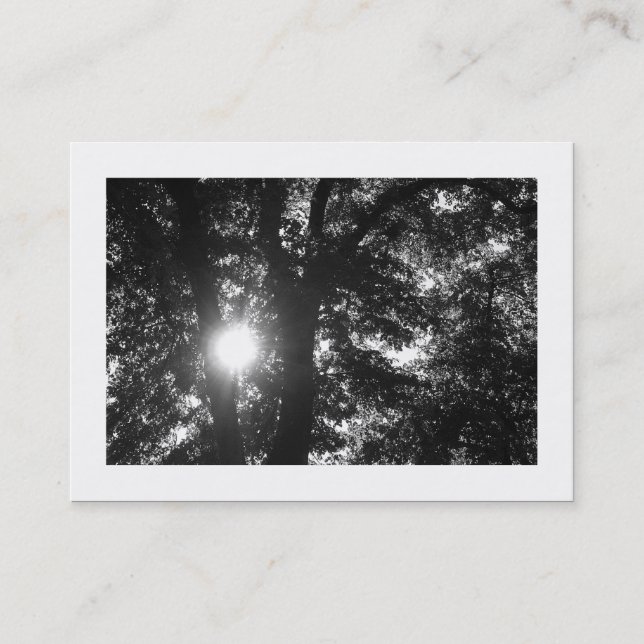 Sun Shining Through Trees B&W Business Card (Front)
