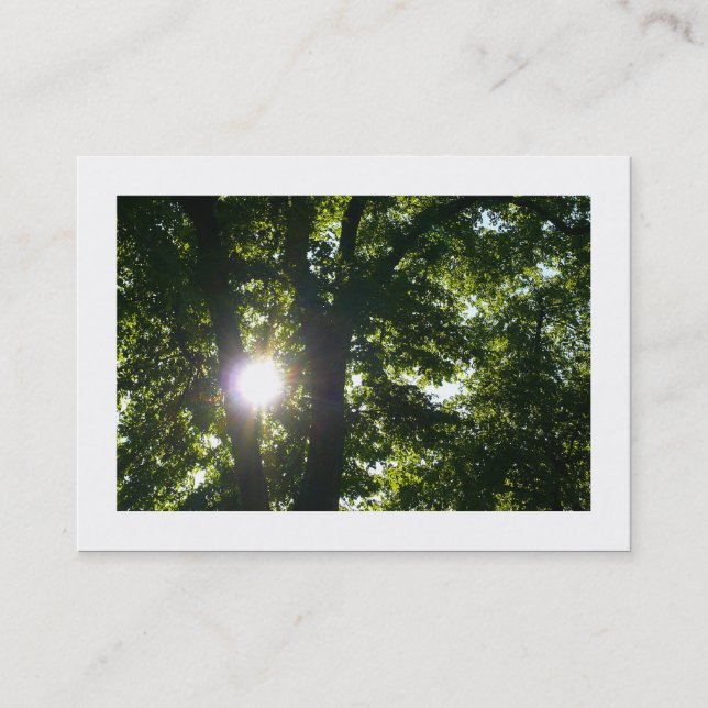 Sun Shining Through Trees Business Card (Front)