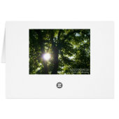 Sun Shining Through Trees Cards (Back Horizontal)