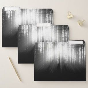 Sun Shining Through Trees in the Forest File Folder