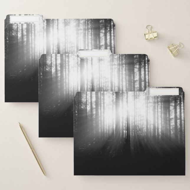 Sun Shining Through Trees in the Forest File Folder (Set)