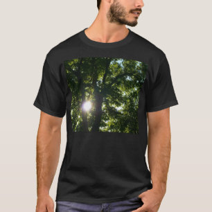 Sun Shining Through Trees T-Shirt