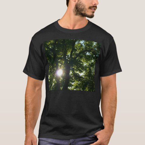 Sun Shining Through Trees T_Shirt