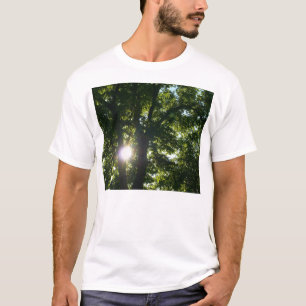 Sun Shining Through Trees T-Shirt