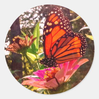 Sun Shining Thru Wings of Monarch Classic Round Sticker