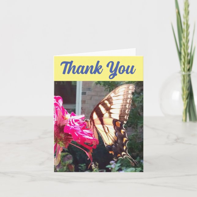 Sun Shining Thru Wings of Tiger Swallowtail Letterpress Thank You Card (Front)