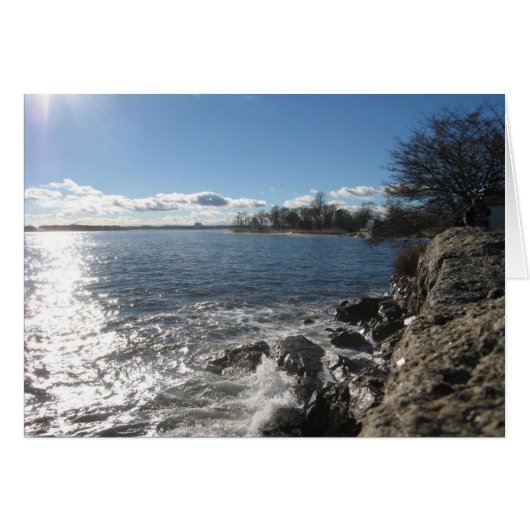 Sun Shower (Front Horizontal)