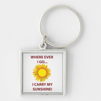 Sun Sunflower Sunshine Sun