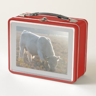 Sun Surrounded White Cow Lunchbox