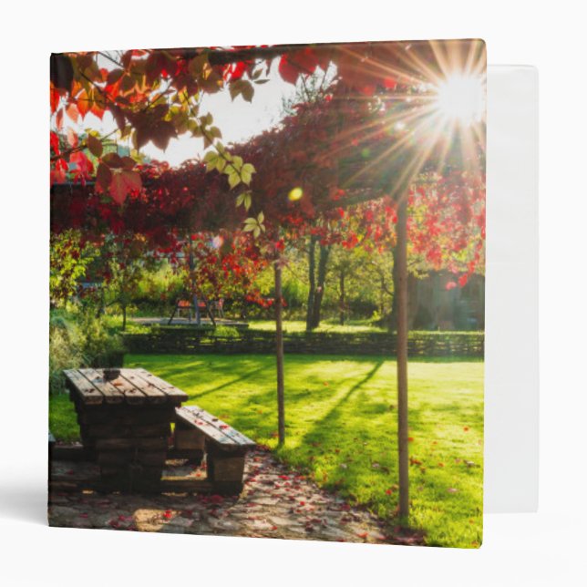 Sun through autumn leaves, Croatia 3 Ring Binder (Front/Inside)