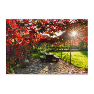 Sun through autumn leaves, Croatia Acrylic Print
