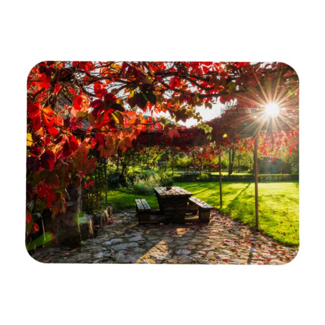 Sun through autumn leaves, Croatia Magnet (Horizontal)