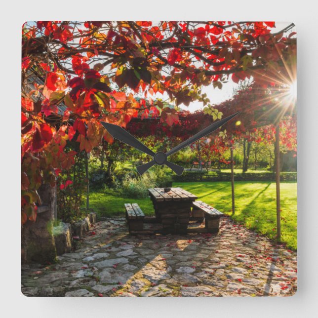 Sun through autumn leaves, Croatia Square Wall Clock (Front)