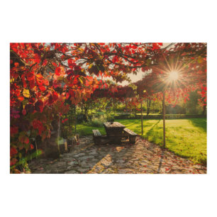 Sun through autumn leaves, Croatia Wood Wall Decor