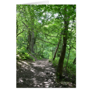 Sun Through The Trees Cards