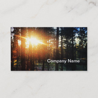 Sun Tree Business Card