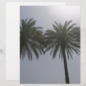 Sun Trees Egypt. (Front/Back)