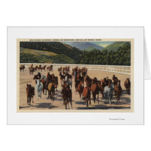 Sun Valley, ID - Wild Horse Roundup Cards