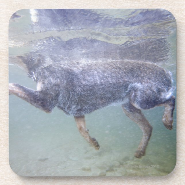 Sun Valley, Idaho, USA. Beverage Coaster (Front)