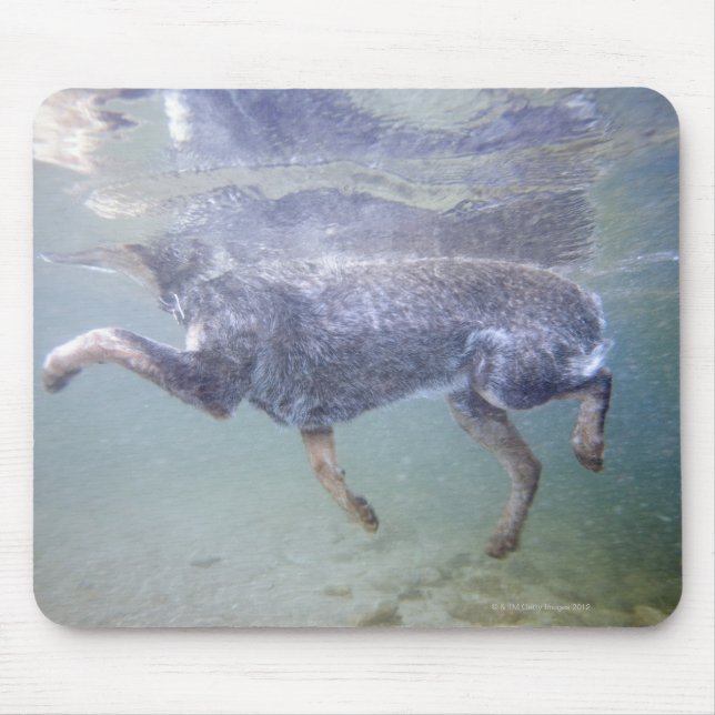 Sun Valley, Idaho, USA. Mouse Pad (Front)