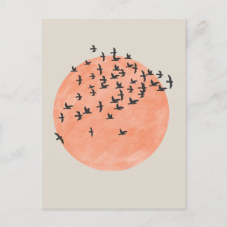 Sun with Flock of Birds Postcard