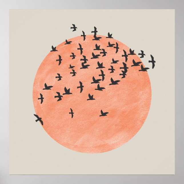 Sun with Flock of Birds Poster (Front)