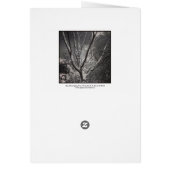 Sun Worshiping Tree Cards (Back)